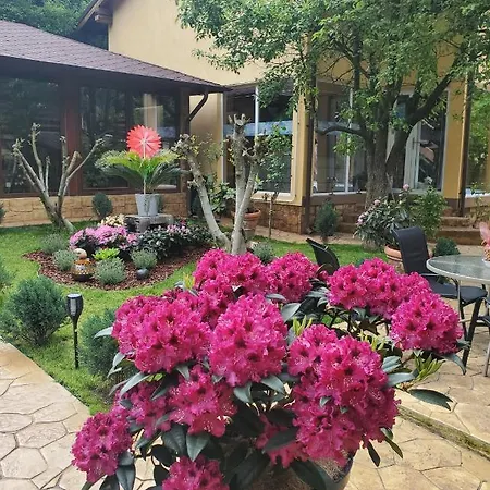 Pansiyon Thermae D'olimpia & - Adults Only 14