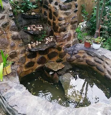 Thermae D'olimpia & - Adults Only 14 * Băile Herculane